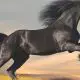 Caballo Mustang