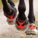 Botas para caballos